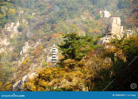 如何坐車去嶗山?嶗山不僅僅是一處自然景觀，它更是一幅動人的畫卷，引領我們進入一個充滿詩意的世界。