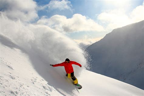 去新西蘭什麼季節好？當企鵝開始滑雪時